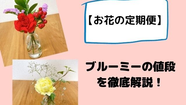 ブルーミの値段を解説